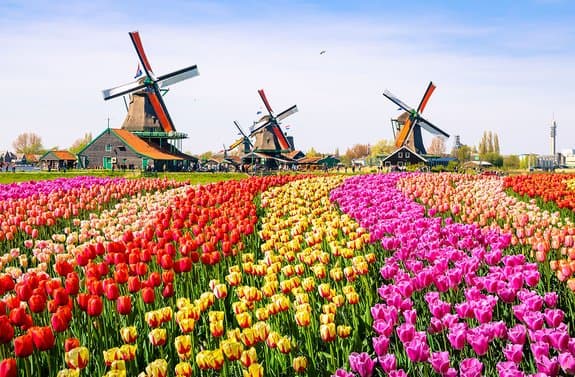 In the Netherlands, cash is used for 27% of point of sale payments in terms of value (ECB, 2017)