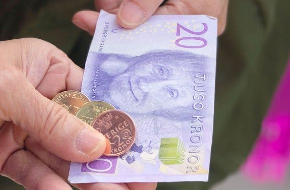 Swedish parliament worries a dash to cashless is too rash