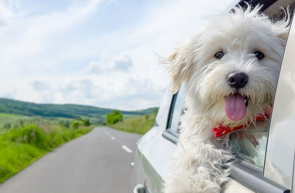 Not everyone's on board with a cashless Pennsylvania Turnpike