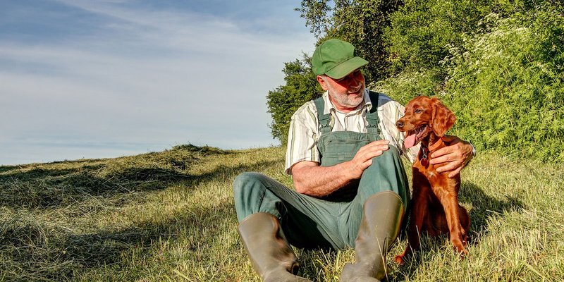 Ireland-old-man-dog-HEADER-shutterstock-1433032.original