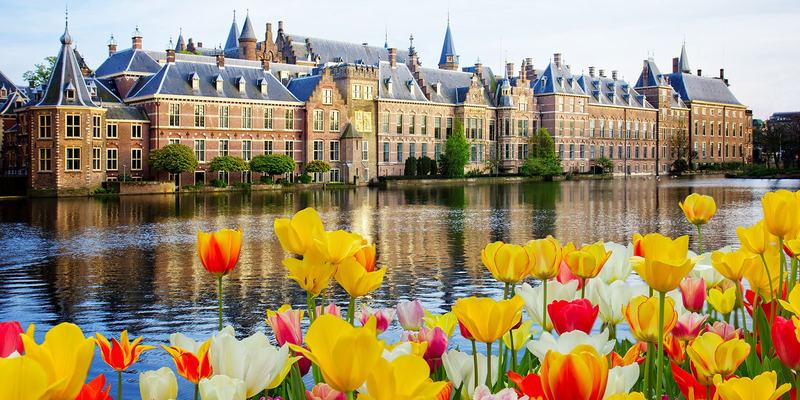 Netherlands-Hague-Parliament-HEADER-shutterstoc.original