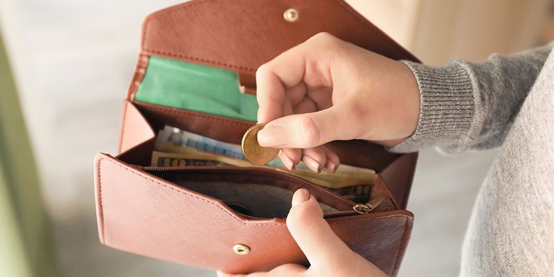 Coin wallet hand wide