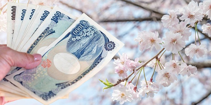 japan-sakura-1140x750.original