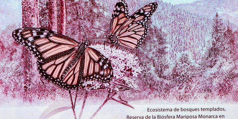 mexico-100-peso-reverse-1140x750.original (1)