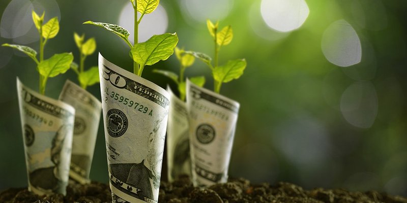 money-growing-1140x750.original