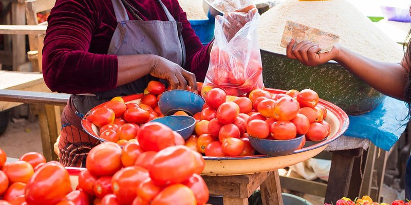 women-cash-tomatoes-WIDE-shutterstock_1252079749.jpg